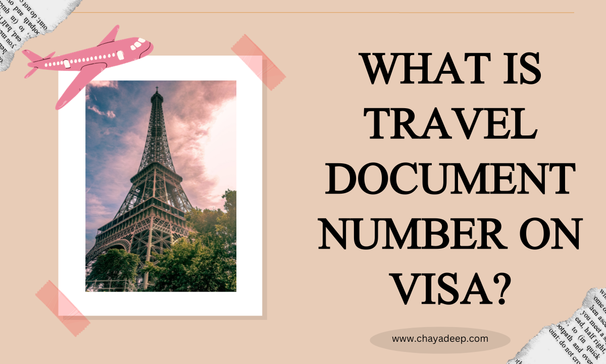 What is travel document number on visa