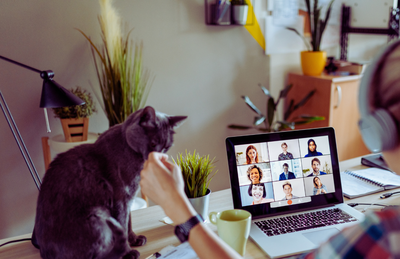 How to Work From Home with a Puppy